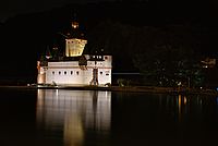 Bernhard Saalfeld - Pfalz bei Nacht.jpg